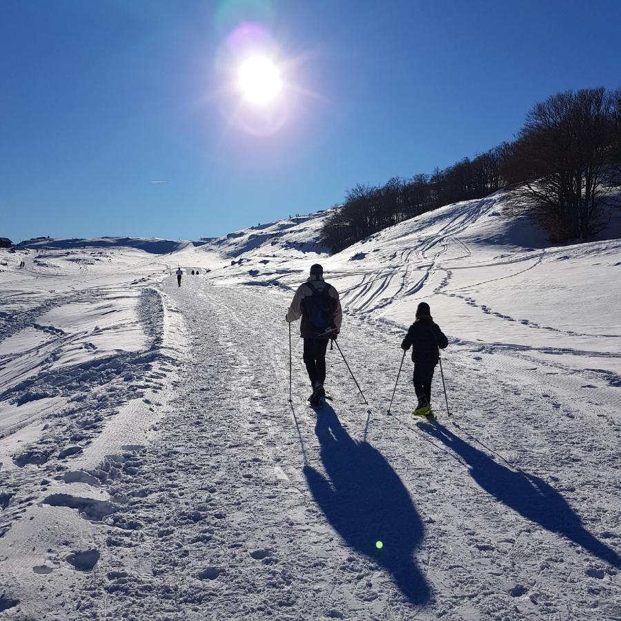 Des Flandaines Saint-Jean-en-Royans