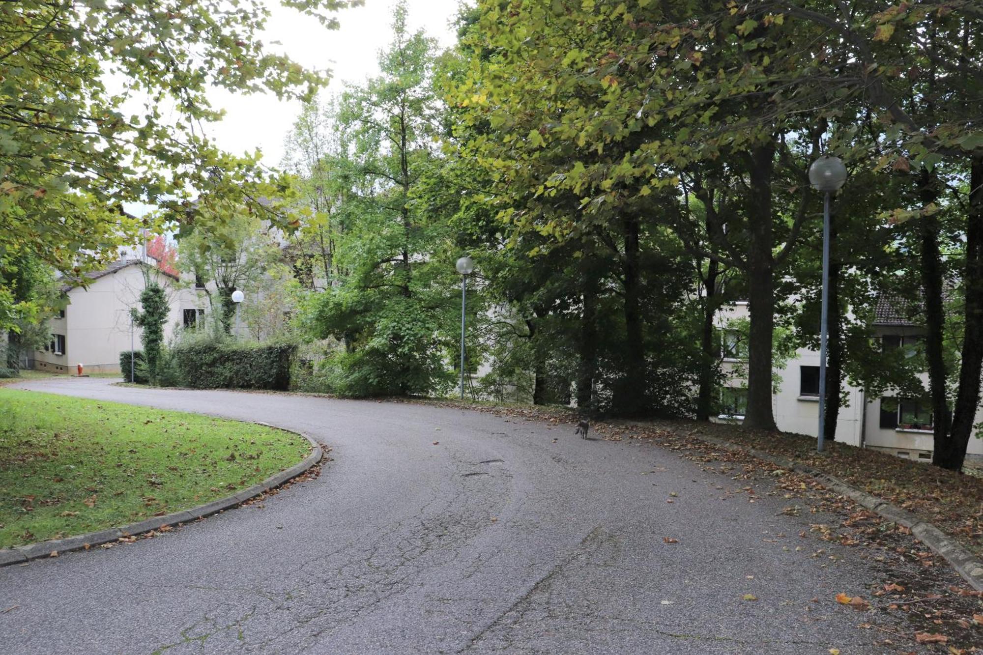Des Flandaines Saint-Jean-en-Royans